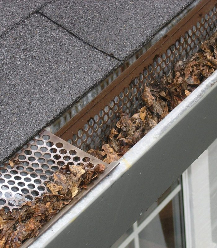 gutter guard leaves gutter guard leaves
